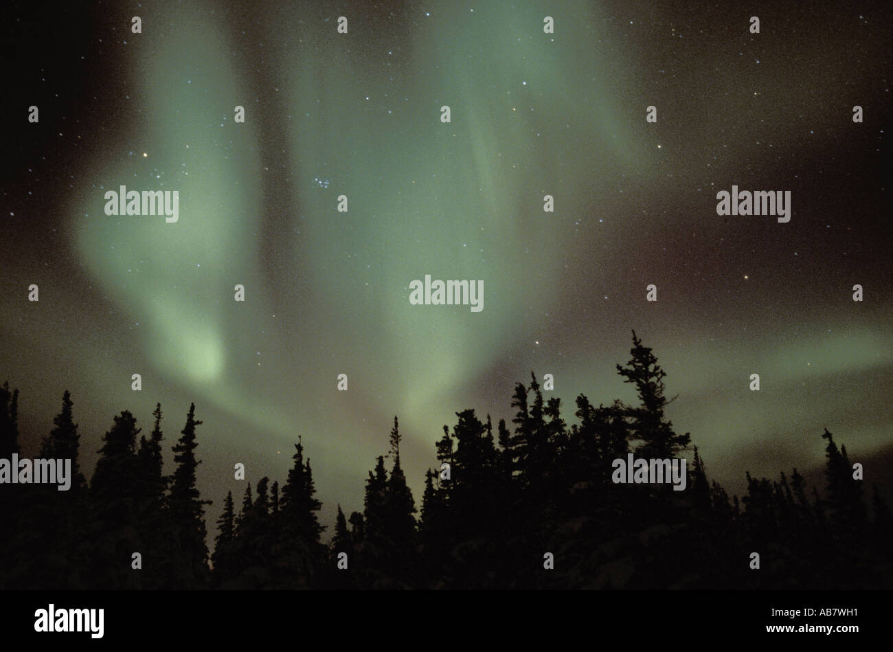 northern ligths, Aurora borealis, aurora borealis, Canada, Manitoba