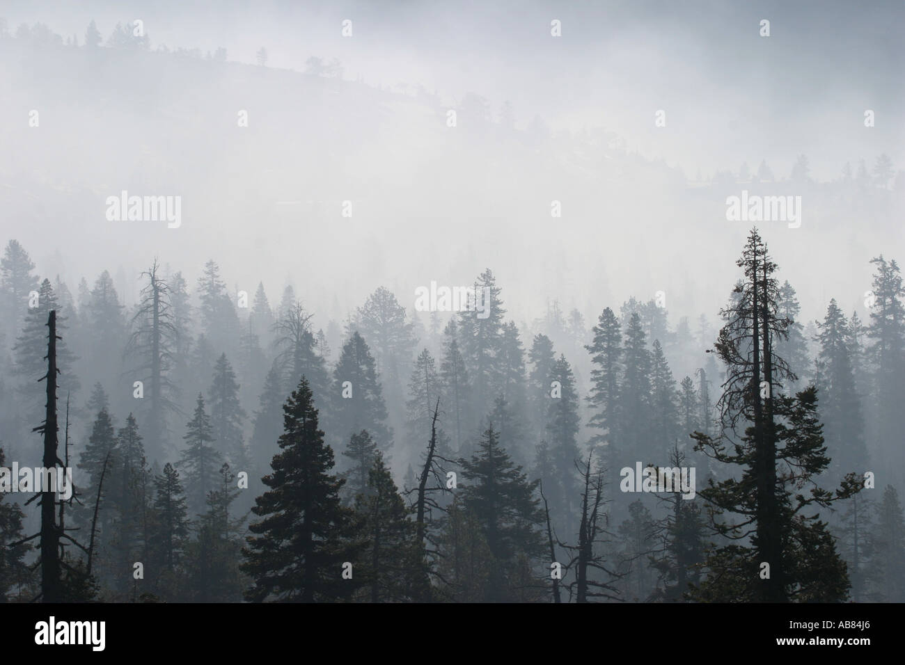Air pollution forest fire smoke hi-res stock photography and images - Alamy