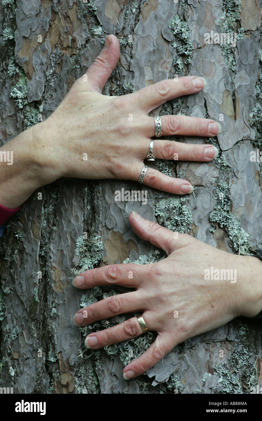 Arms wrapped around trunk of scots pine trunk, United Kingdom, Scotland Stock Photo