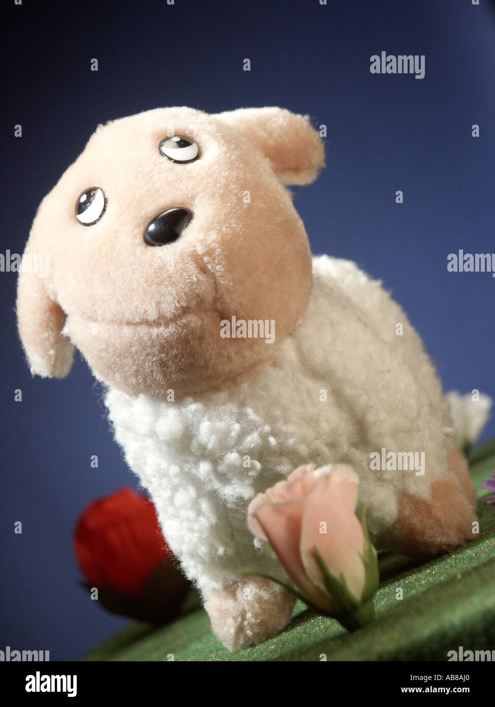 sheep as cuddly toy Stock Photo Alamy