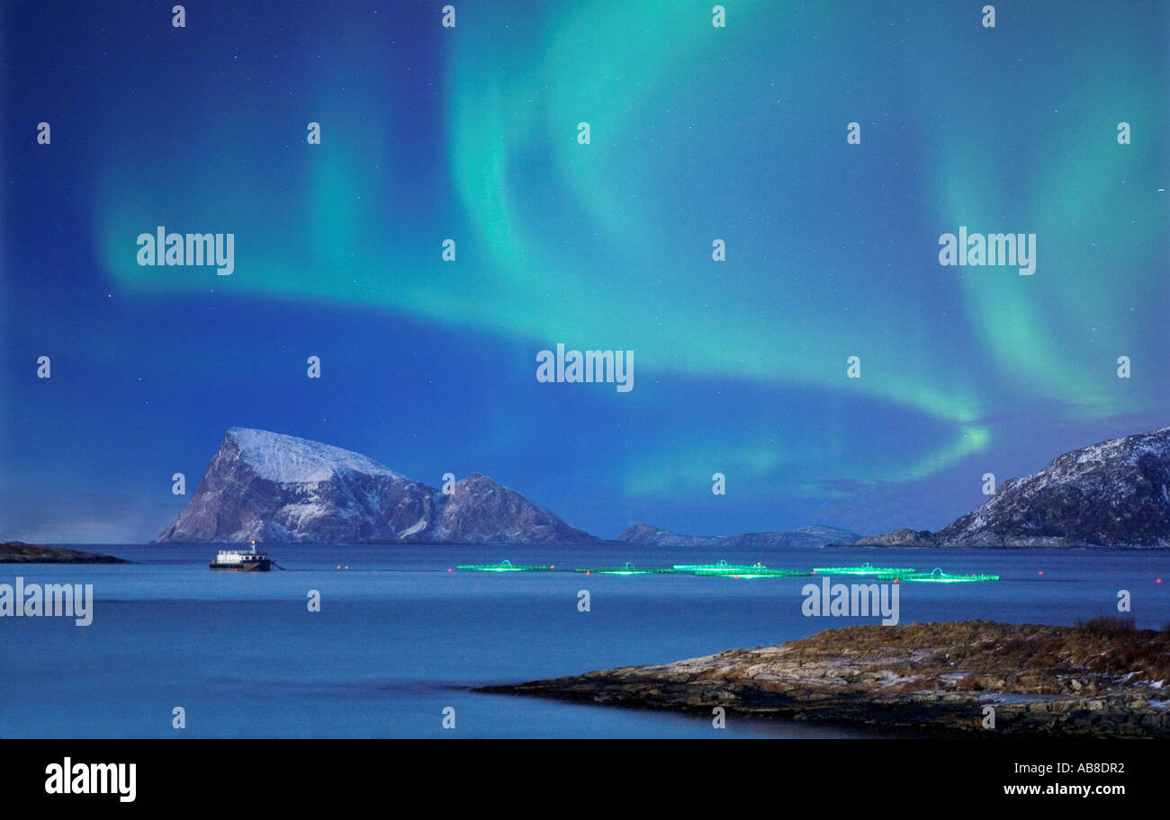 polar light over salomon breeding, Norway, Troms, Sommary Stock Photo -  Alamy