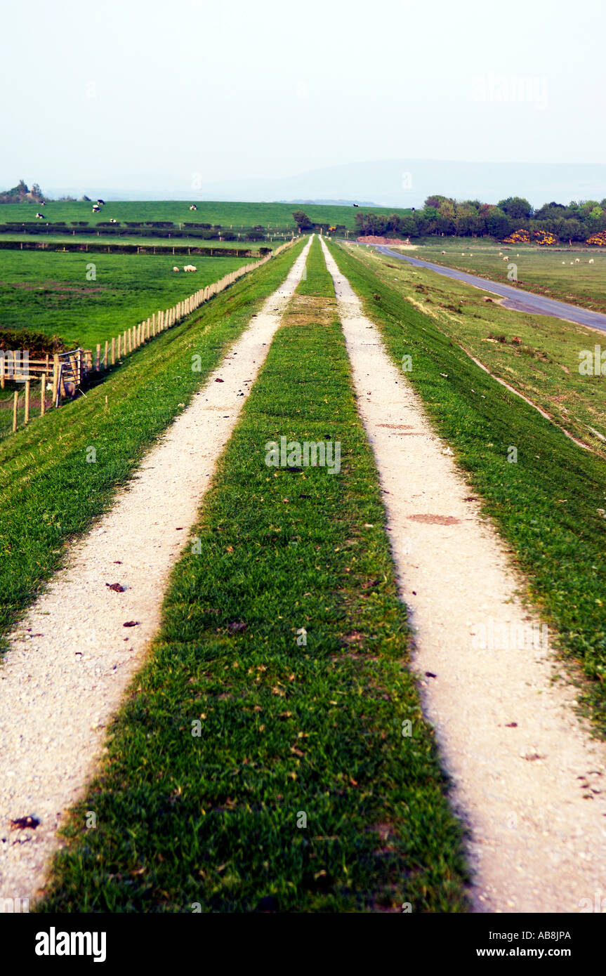Cockerham Sands Lancashire UK Tidal protection dyke and pathway Stock Photo Alamy