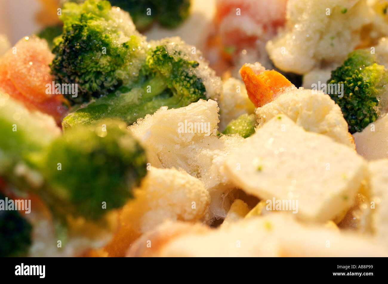 frozen finished product meal Stock Photo