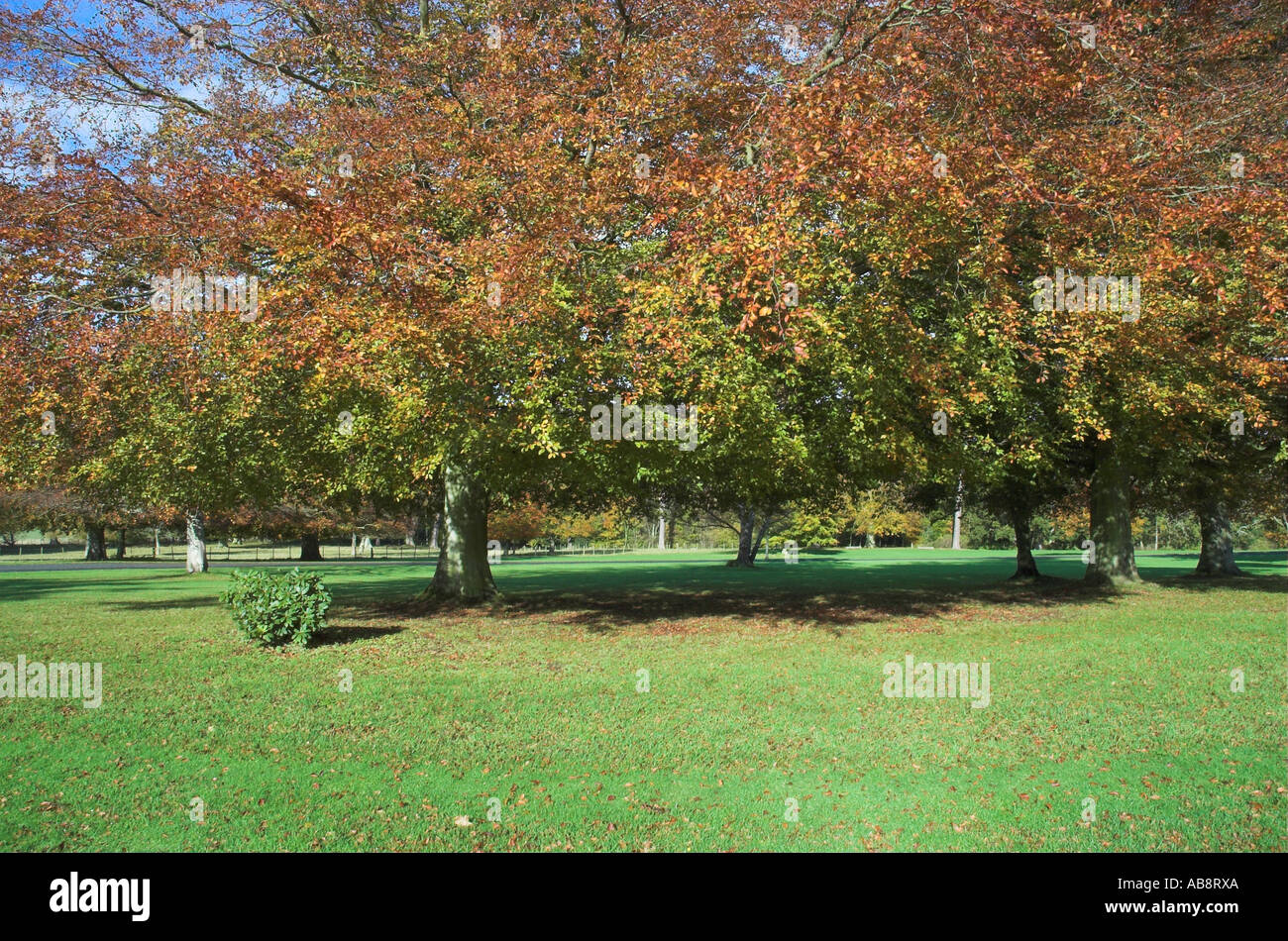 Paxton House Scottish Borders Stock Photo Alamy