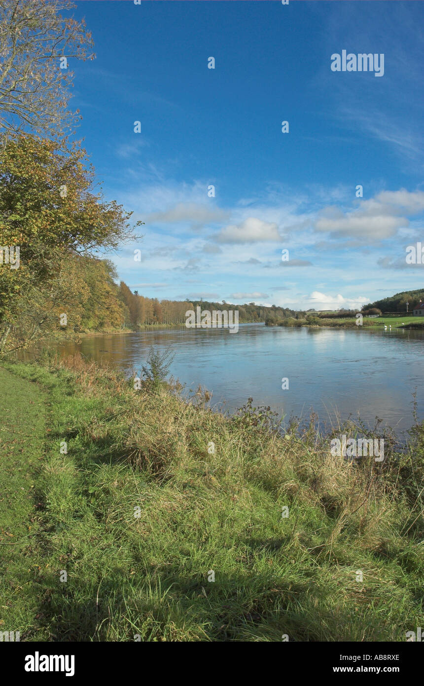 River Tweed at Paxton House Scottish Borders Stock Photo Alamy
