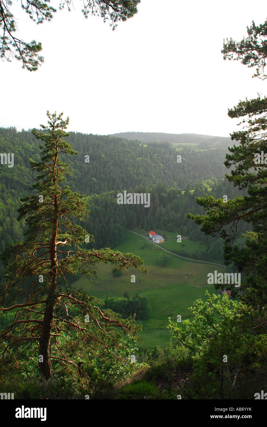 Blick vom Bildsteinfelsen ins Albtal Urberg Dachsberg Südschwarzwald