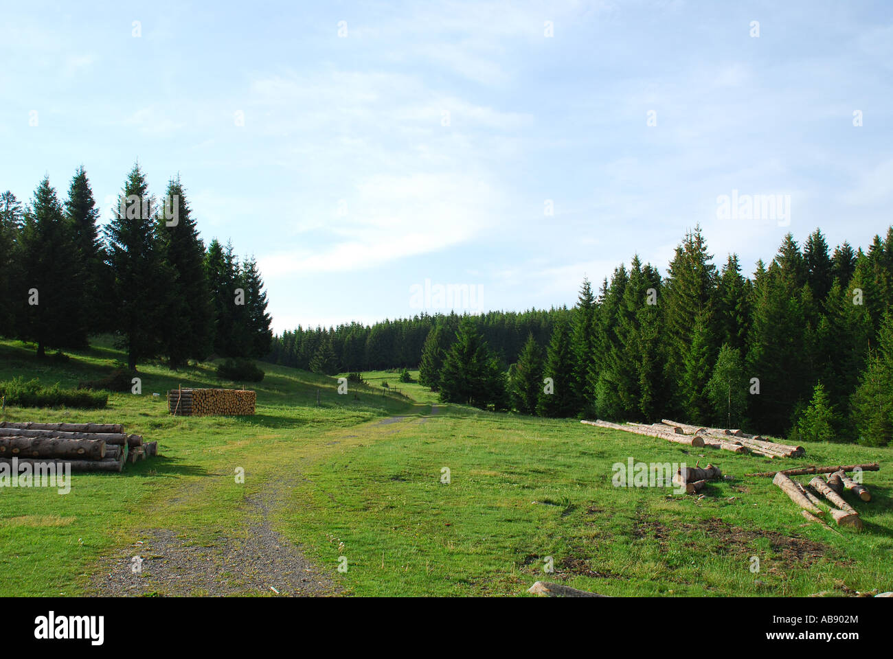 Landscape with hiking path southern Black Forest, Germany Stock Photo