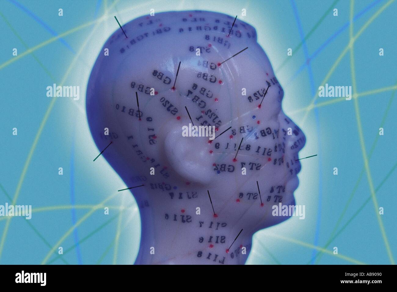 Acupuncture point hi-res stock photography and images - Alamy