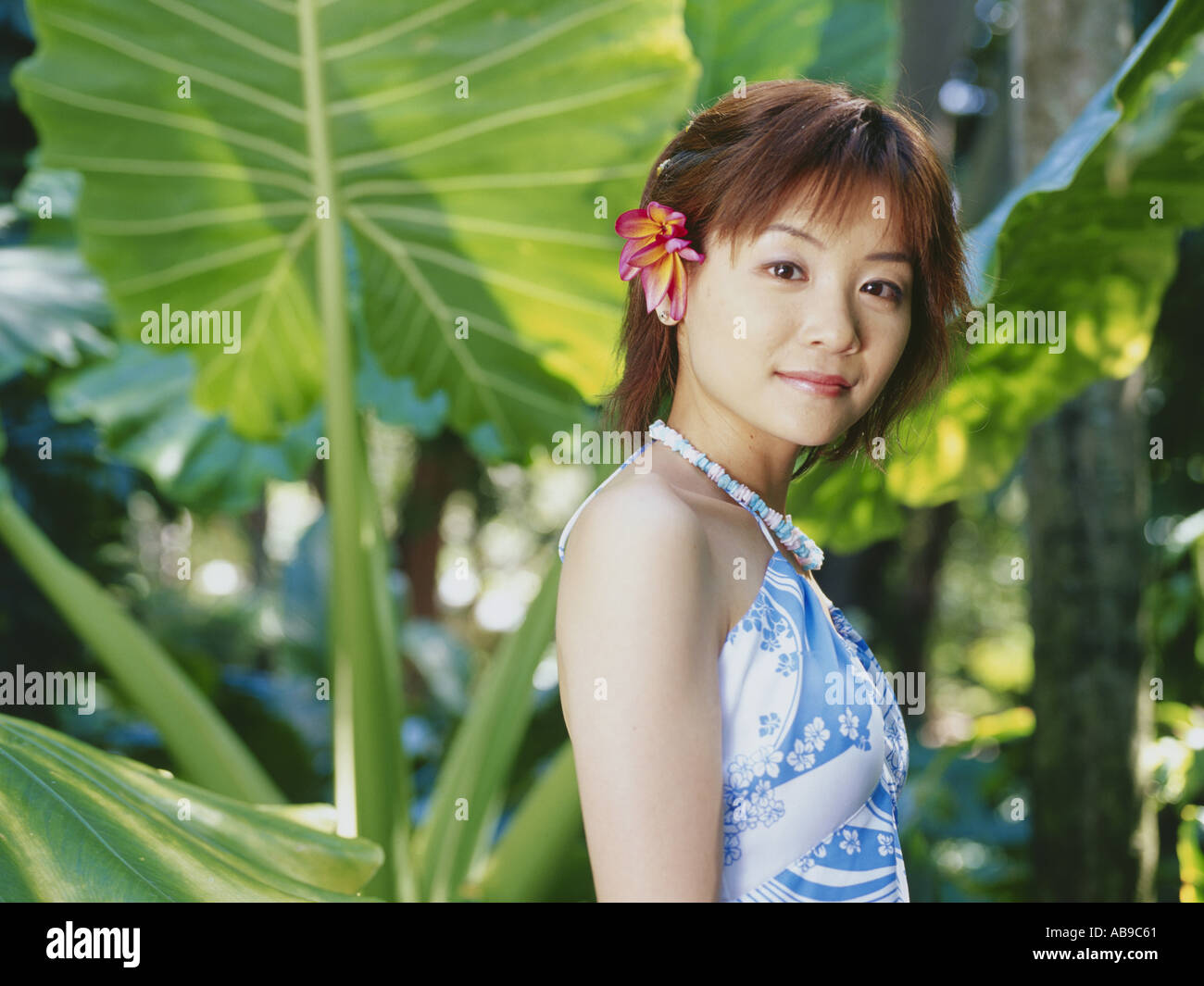 Hawaiian activity 02 hi-res stock photography and images - Alamy