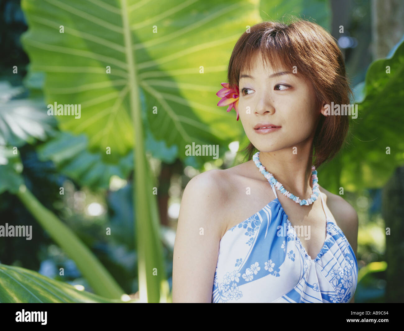 Hawaiian activity 02 hi-res stock photography and images - Alamy