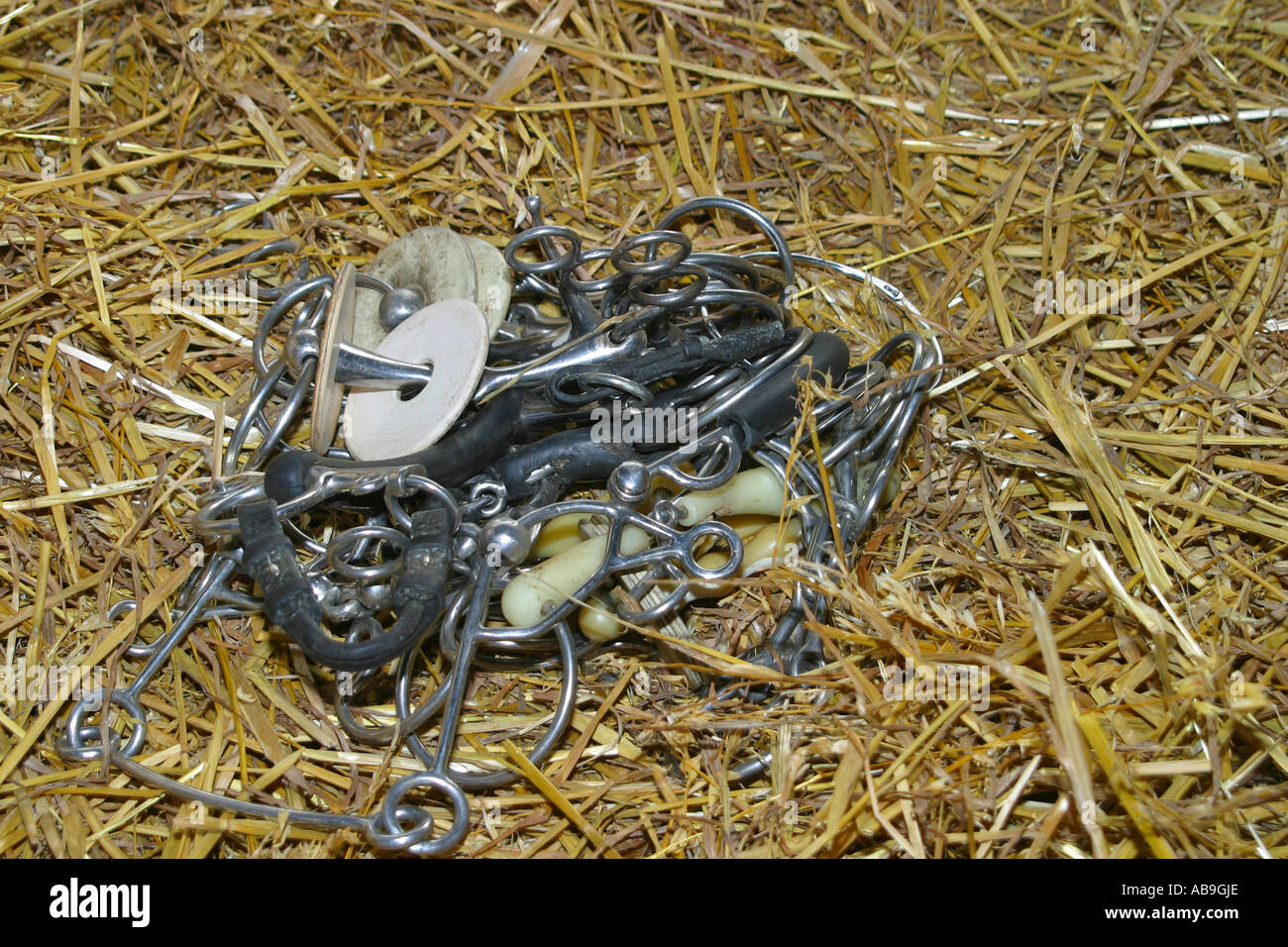 Collection of horse bridle bits lyig on straw Stock Photo Alamy