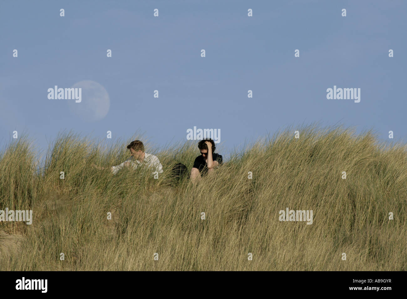 pair sittin on a dune, Netherlands, Zeeland Stock Photo