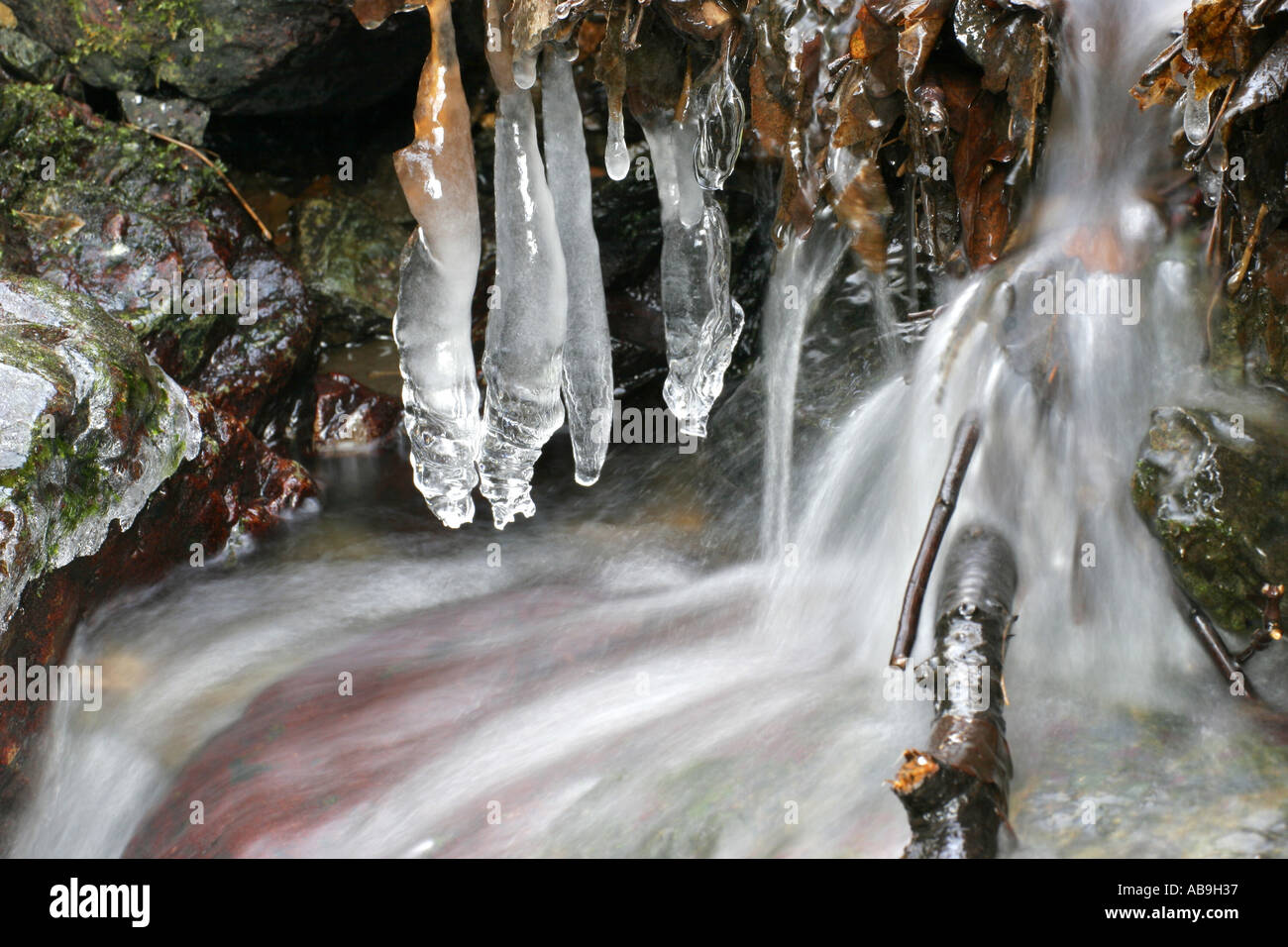 icicles in a brook, Germany, Vogtland, Jocketa, Dec 04. Stock Photo