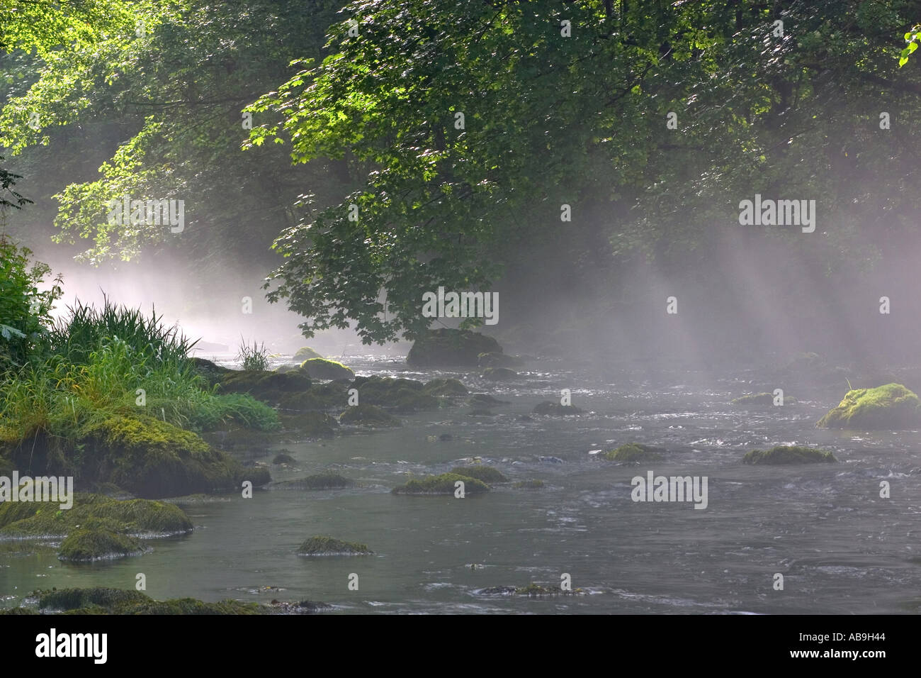 river in mist, Germany, Vogtland, Jocketa, Jun 04. Stock Photo