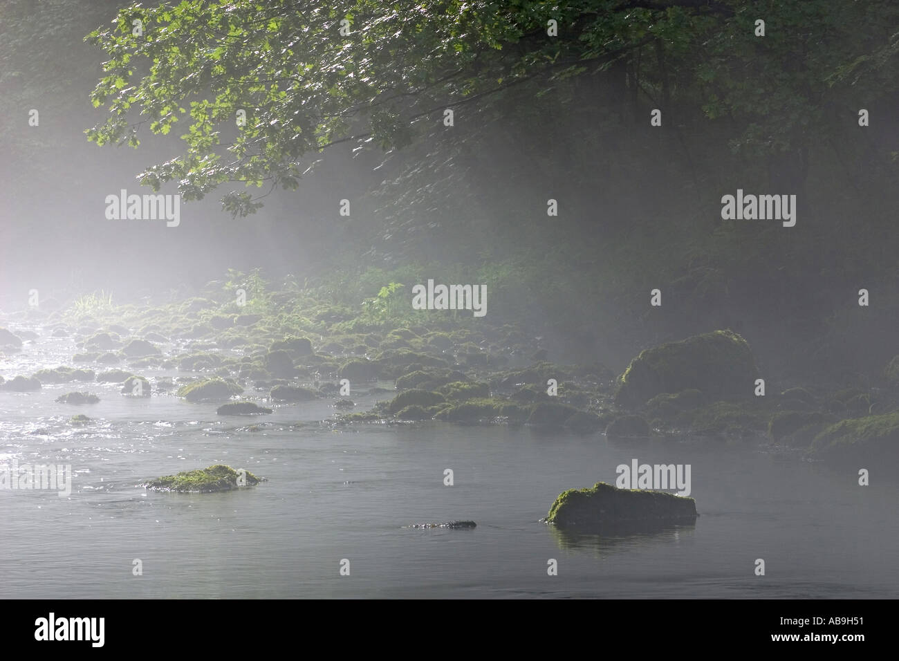 river in mist, Germany, Vogtland, Jocketa, Jun 04. Stock Photo