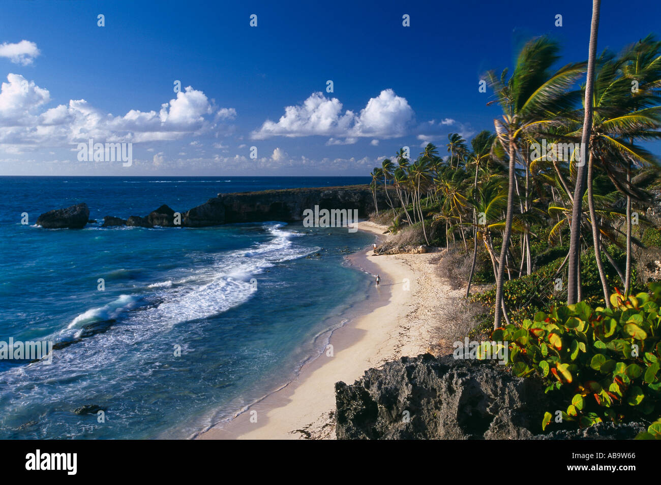 Harrismith beach South East Coast Barbados Stock Photo