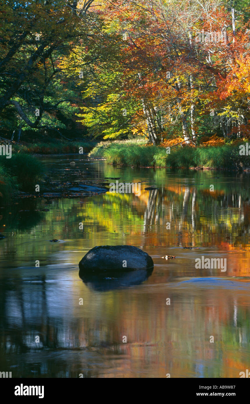Autumn Mersey River nr Kejimkujik National Park Nova Scotia Canada