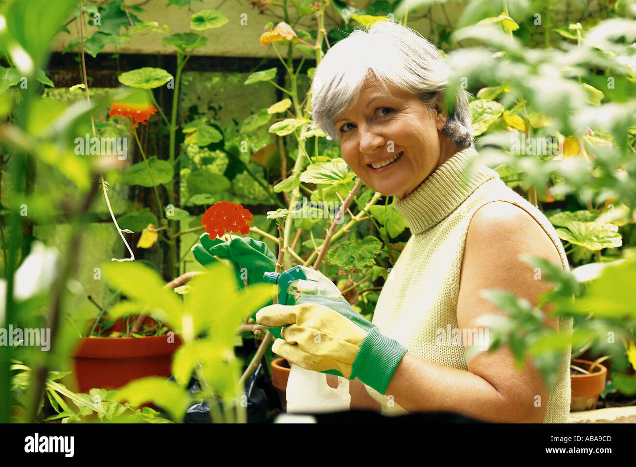Only One Mature Wo High Resolution Stock Photography and Images - Alamy