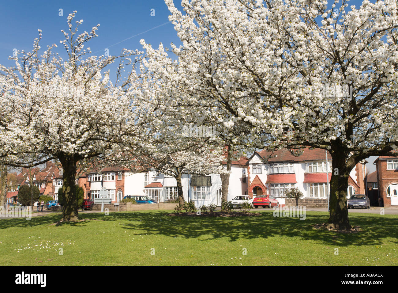 Birmingham hall green hires stock photography and images Alamy