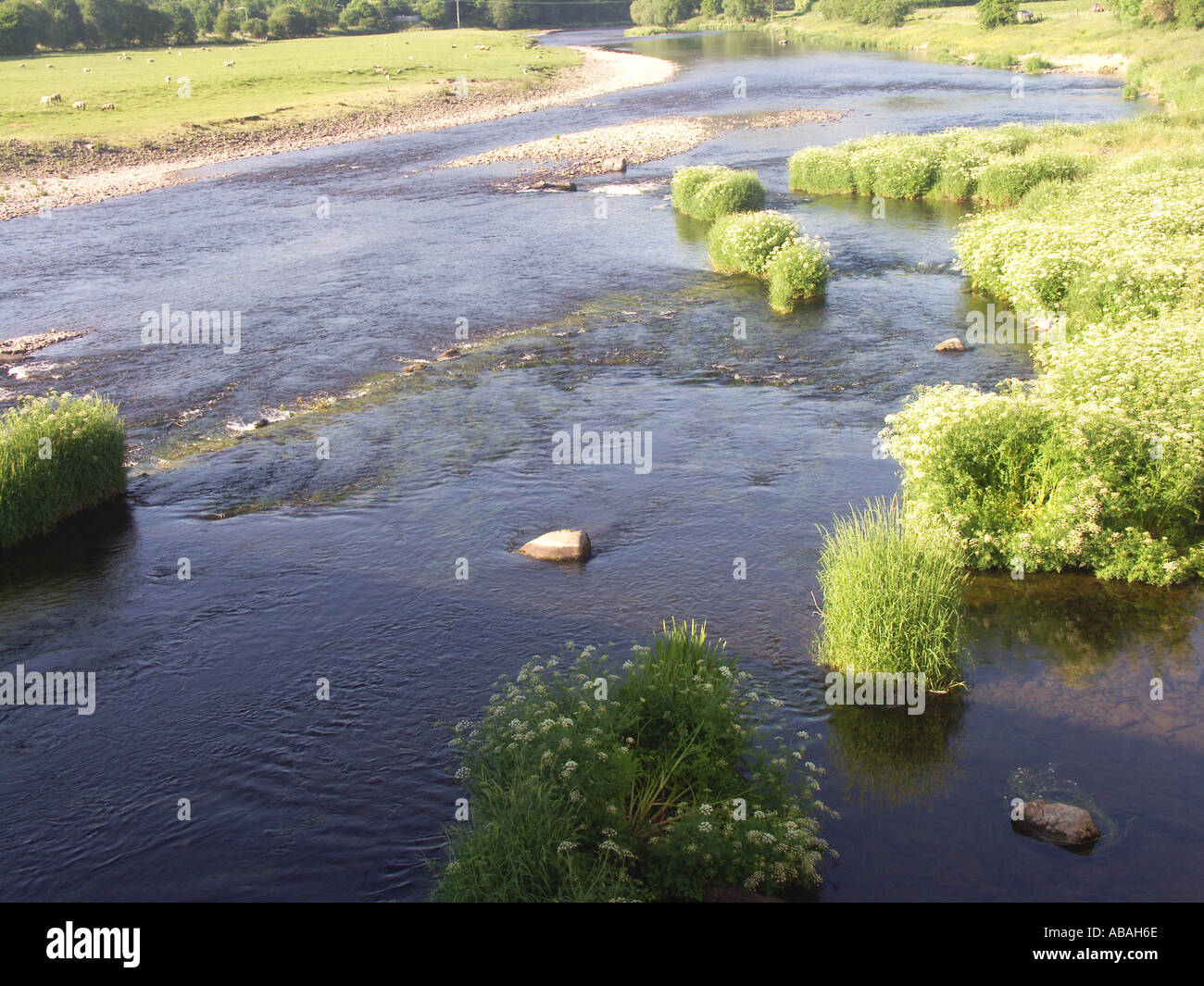 River Wye Builth Wells Powys Wales Stock Photo