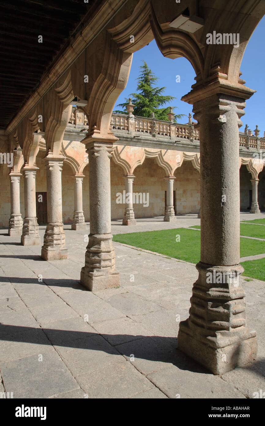 Spain Castilla Leon Salamanca Patio de las Escuelas menores Stock Photo