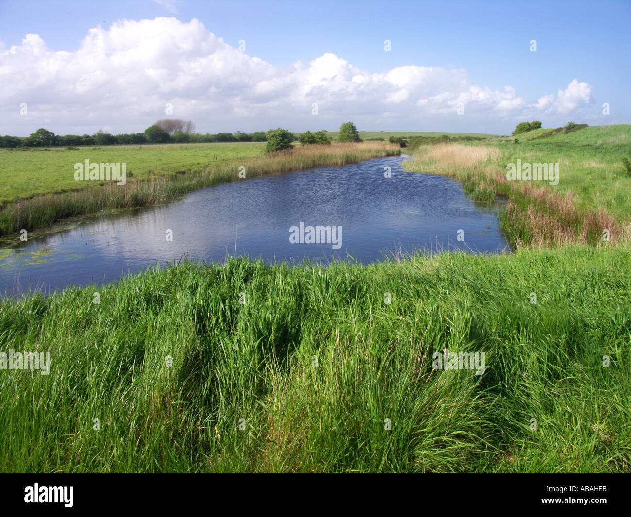 Boyton marshes drainage channel Suffolk England Stock Photo Alamy