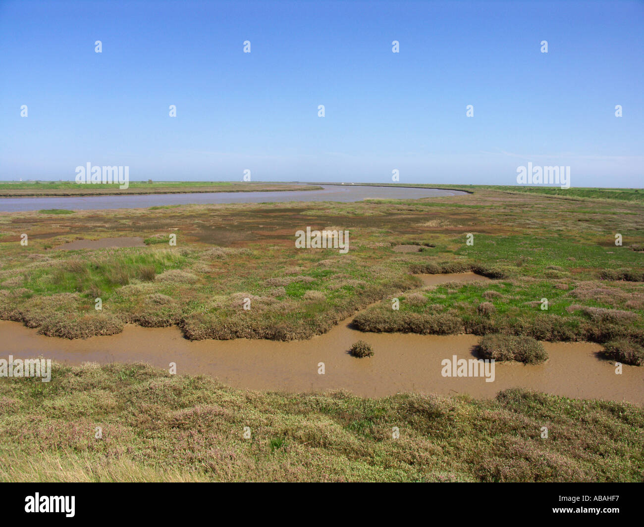 Saltmarsh coastal environment Butley Creek Boyton marshes Suffolk ...