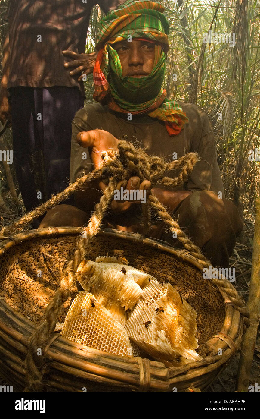 Honey hunters collecting wild honey in the forest of Sunderbans , Bangladesh . Stock Photo