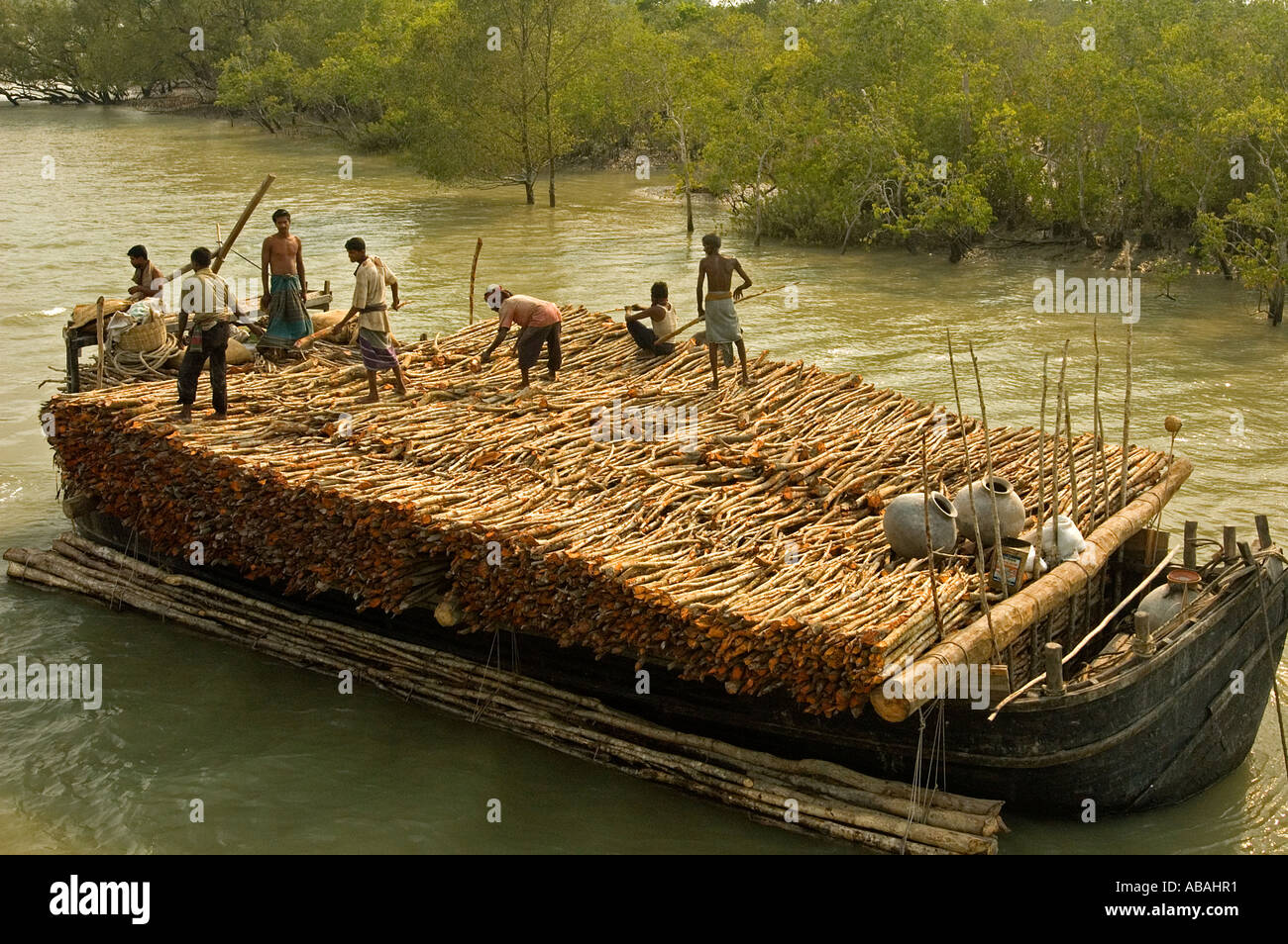 Illegal wood collecting boats in Sunderbans Unesco Heritage Site , Bangladesh . Stock Photo