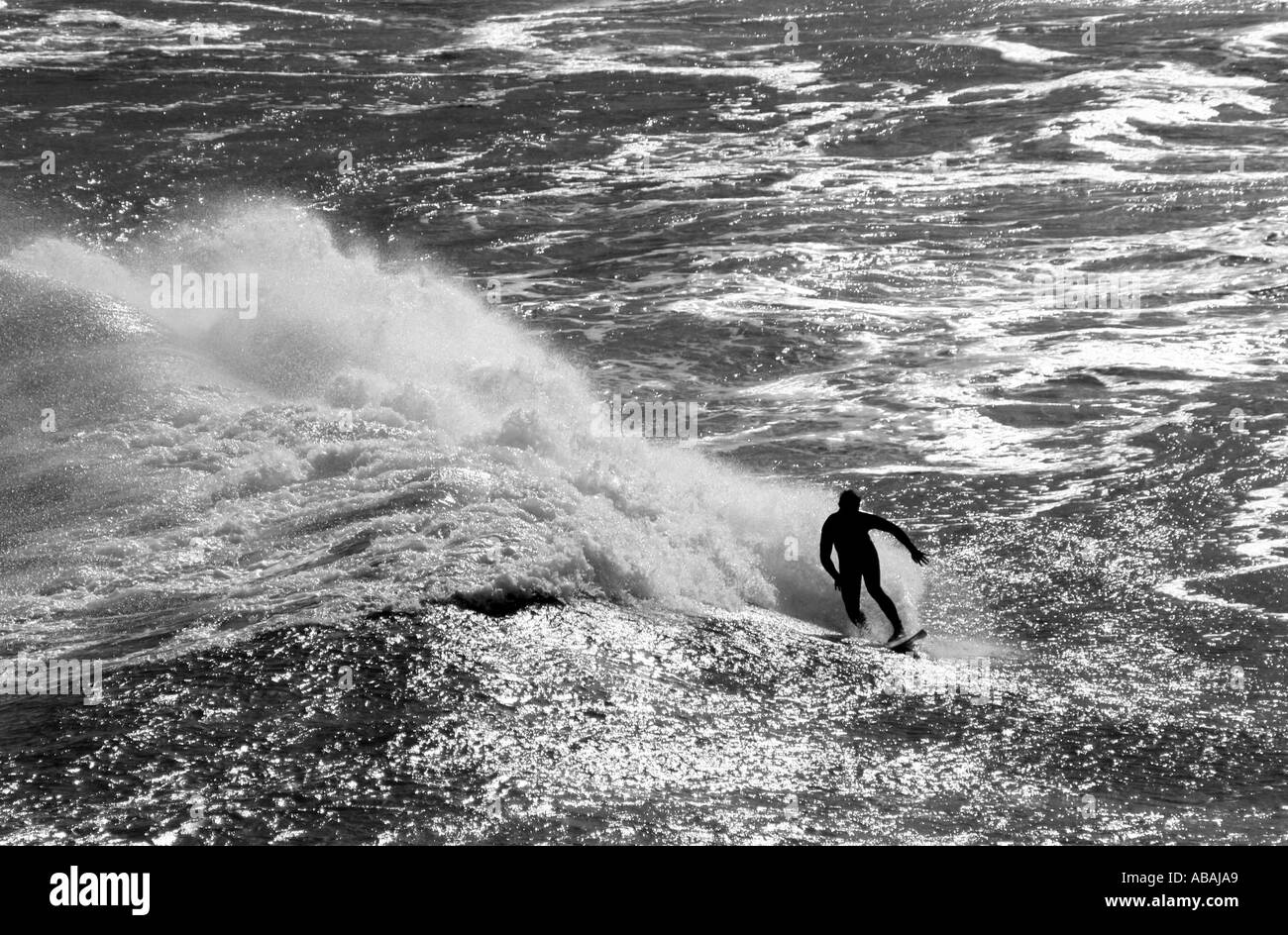 Surfer - Gray main image 1