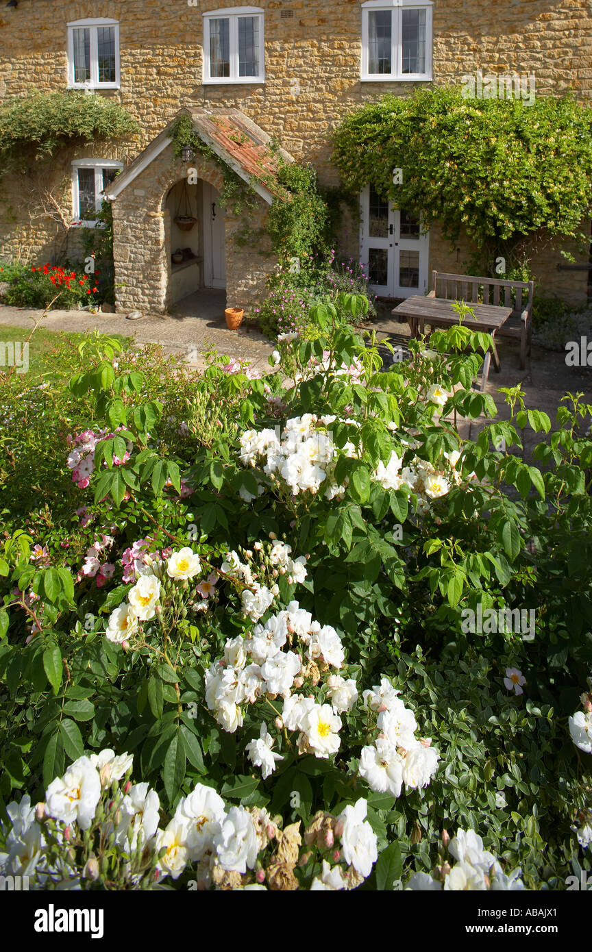 Plum Tree Cottage An English Property Released Cottage Milborne