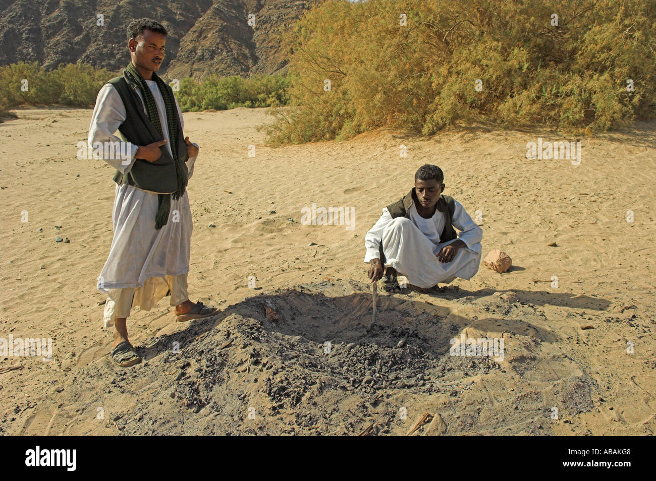 Ababda tribesman backing bread under coals from camp fire in the desert valley of Wadi El Gemal National Park Red Sea Egypt Stock Photo