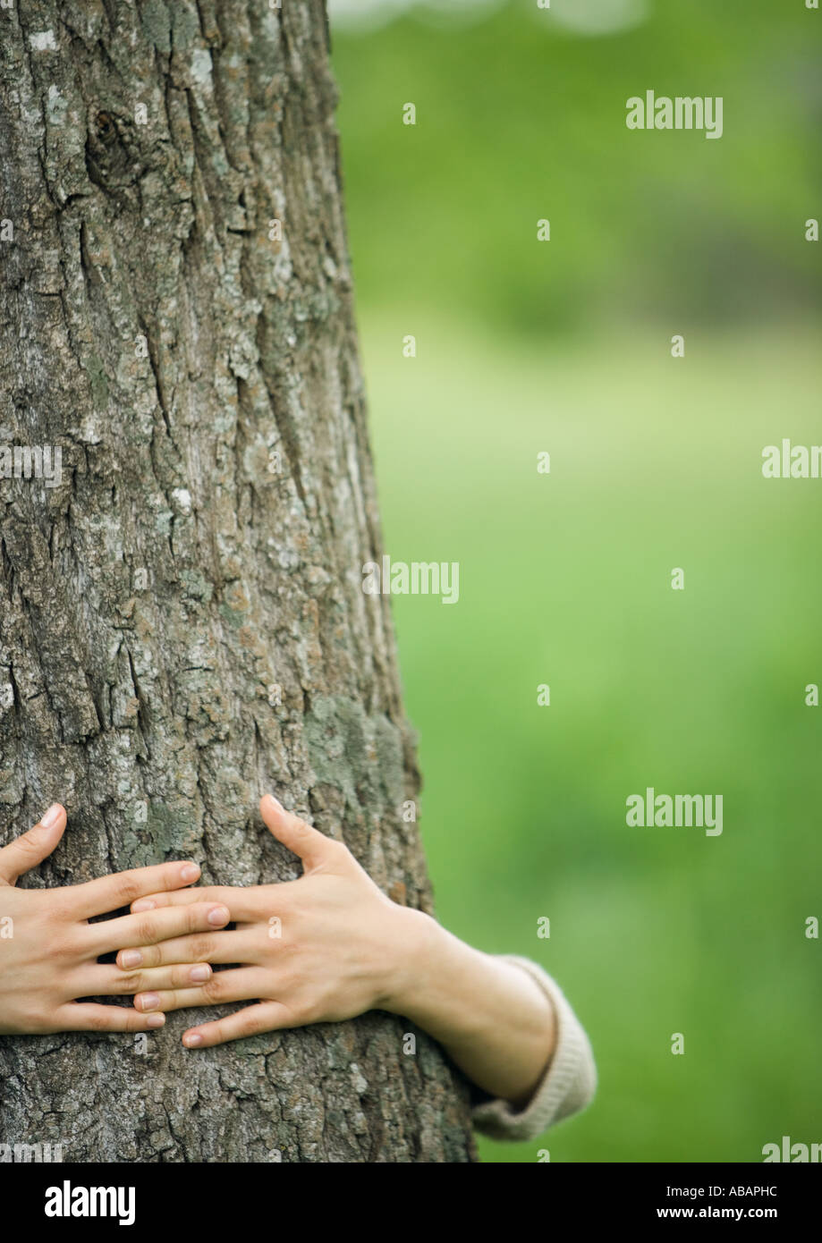 Hugging tree arms hi-res stock photography and images - Alamy