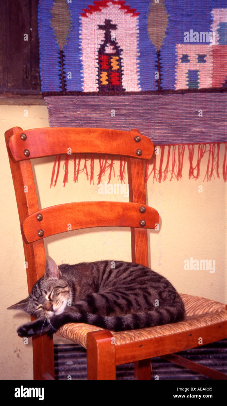 An Iconic Greek cat asleep on a chair in Chania Old Town Western Crete ...