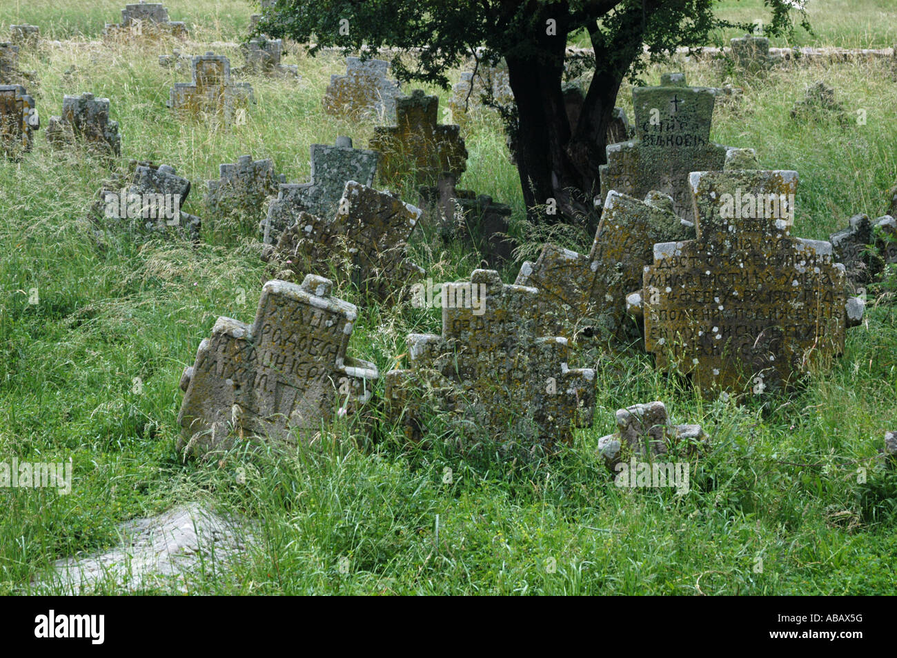 Petrova hires stock photography and images Alamy