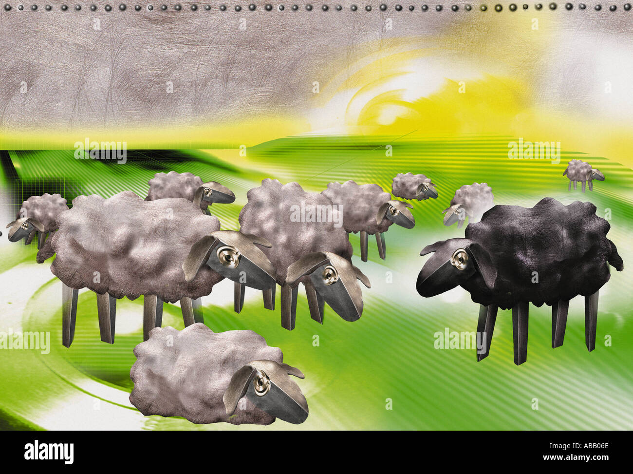 The black sheep hires stock photography and images Alamy