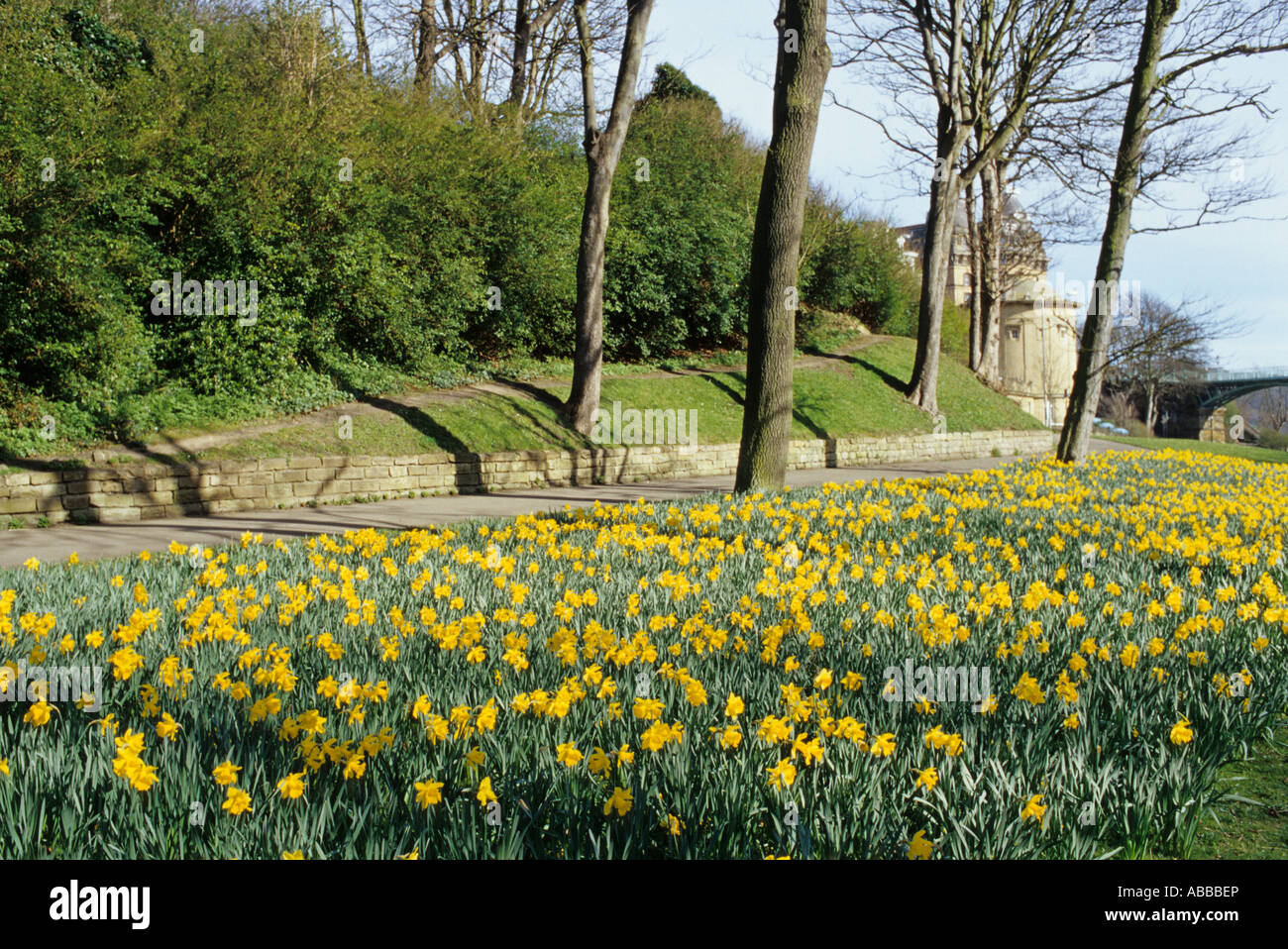 Valley road scarborough hires stock photography and images Alamy