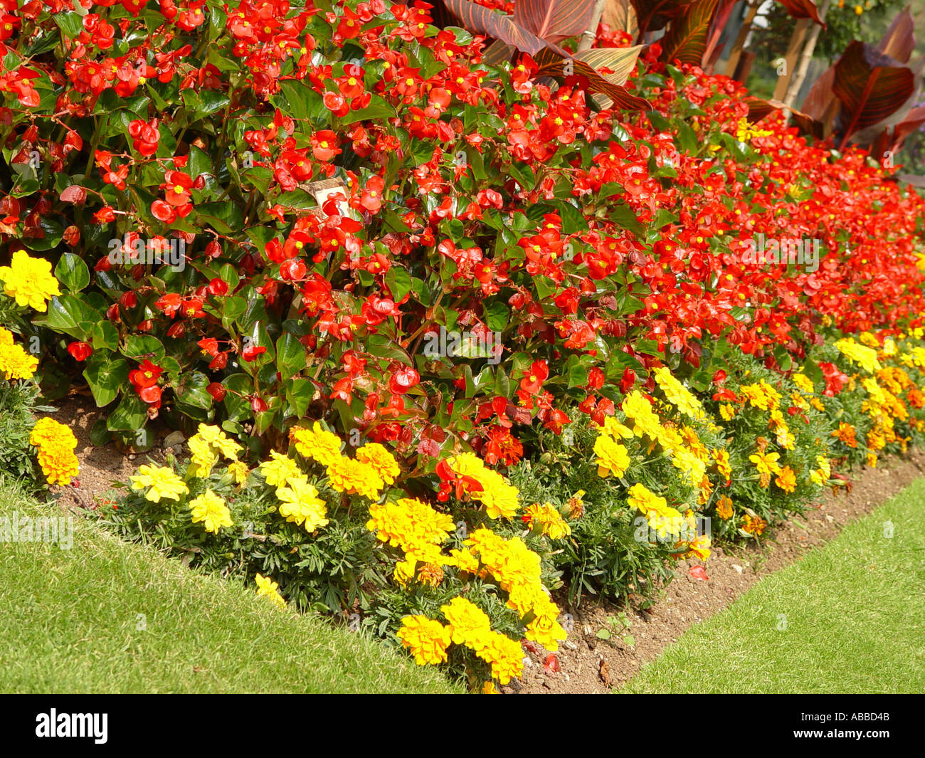 Bristol Zoo in the Clifton area of the historical city of Bristol