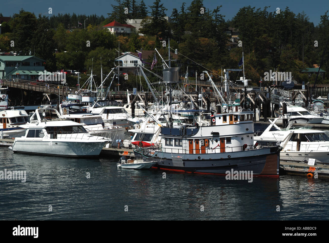 friday harbor wa 4th of july parade