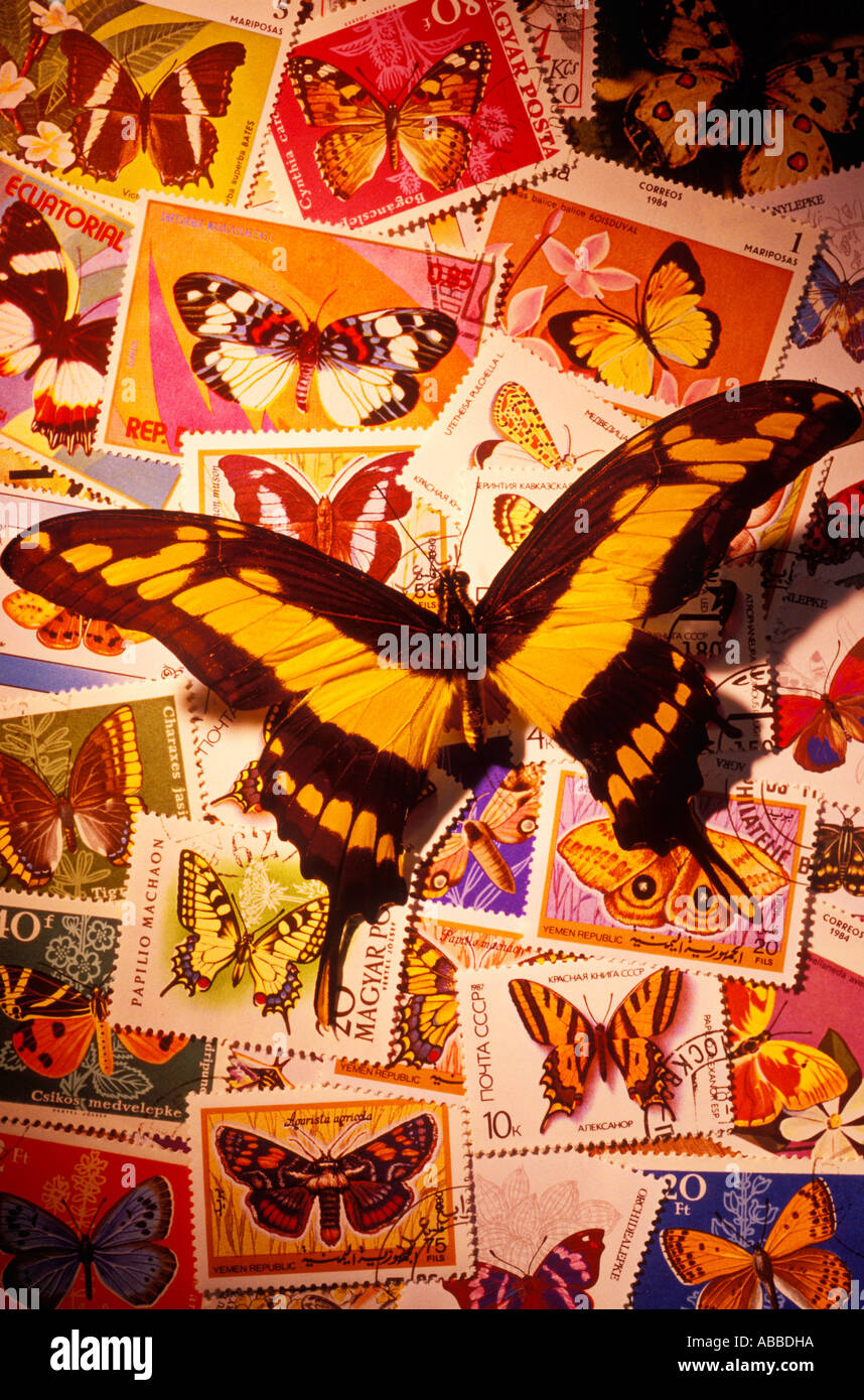 Butterfly on butterfly stamps Stock Photo