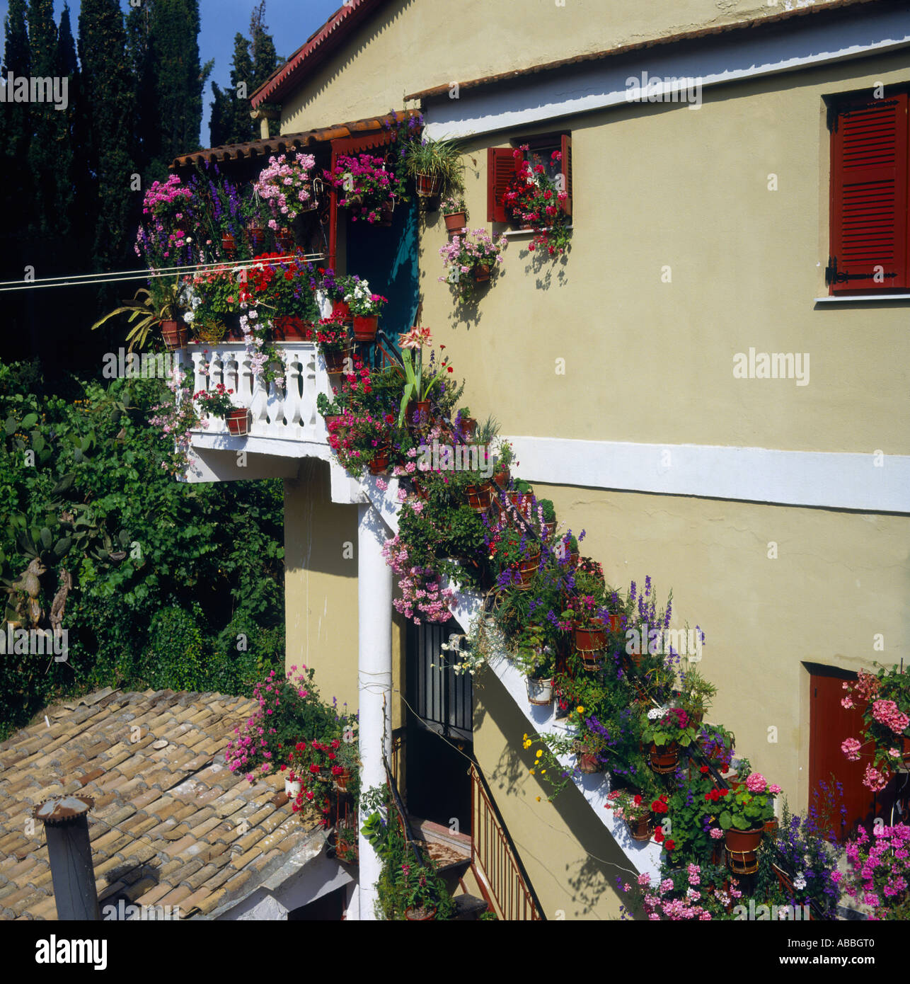 Flower pots in sunshine on steep house steps with terracotta tiles and brown shutters Sinaradhes Corfu The Greek Islands Greece Stock Photo