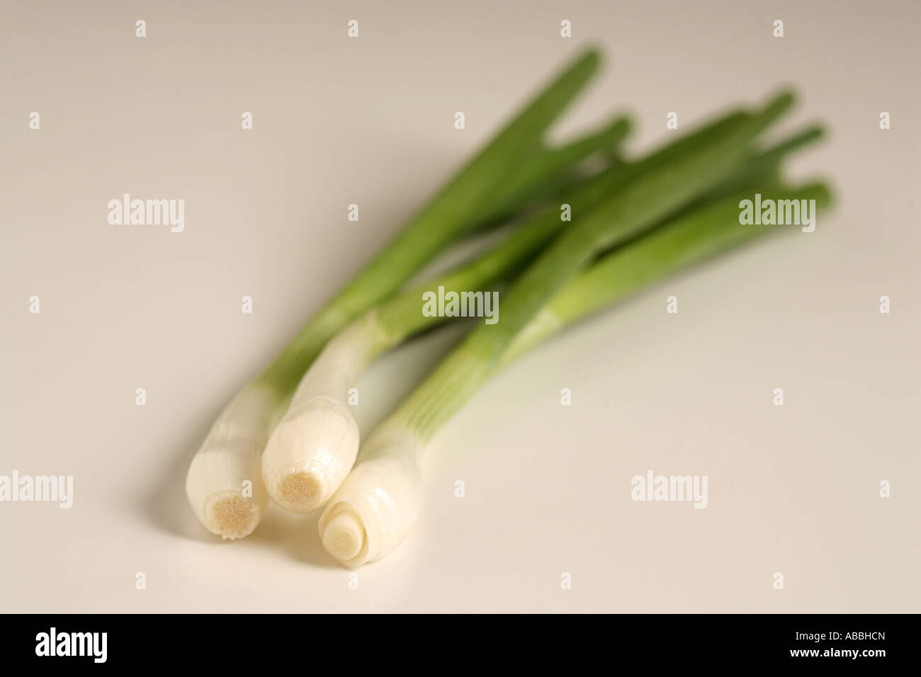 Spring onions against a white background Stock Photo - Alamy