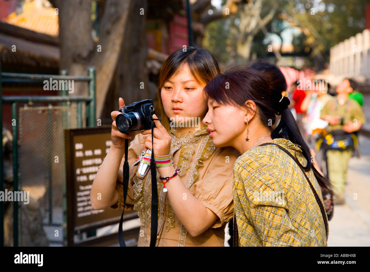 Beautiful young Chinese women viewing pictures on digital camera in the  Forbidden City Beijing China JMH1448 Stock Photo - Alamy