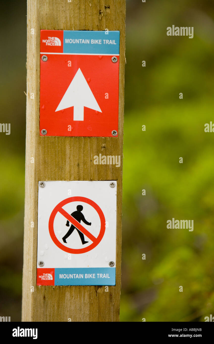 cannondale mens mountain bike