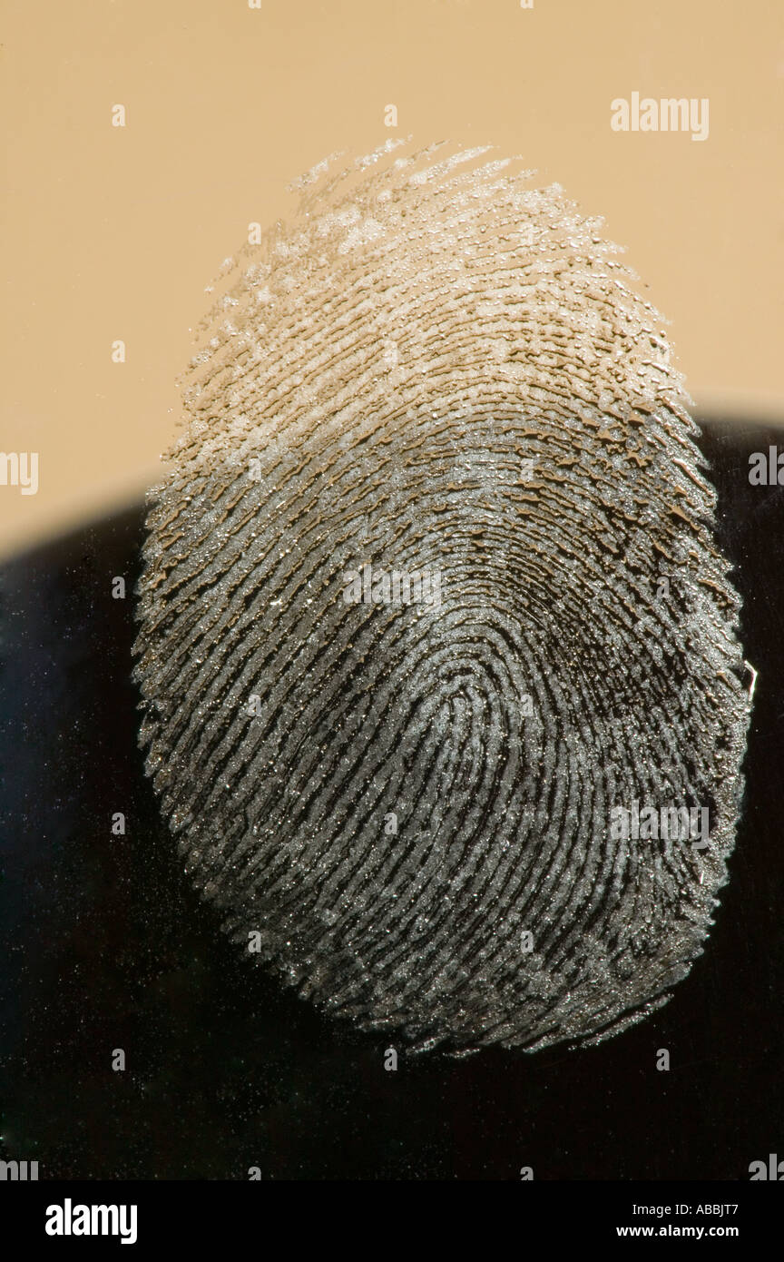 a fingerprint on glass Stock Photo Alamy