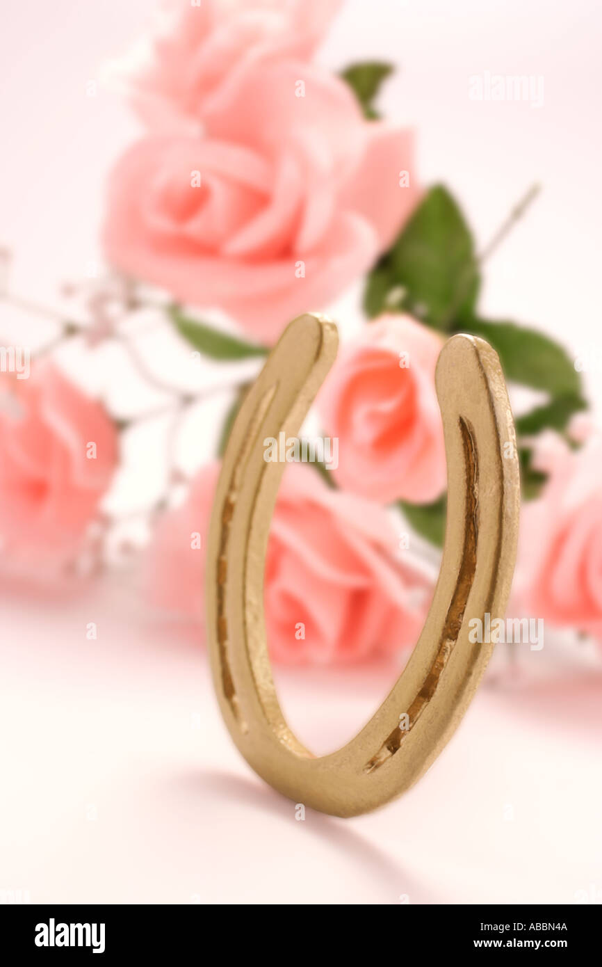 Horseshoe and Roses Stock Photo Alamy