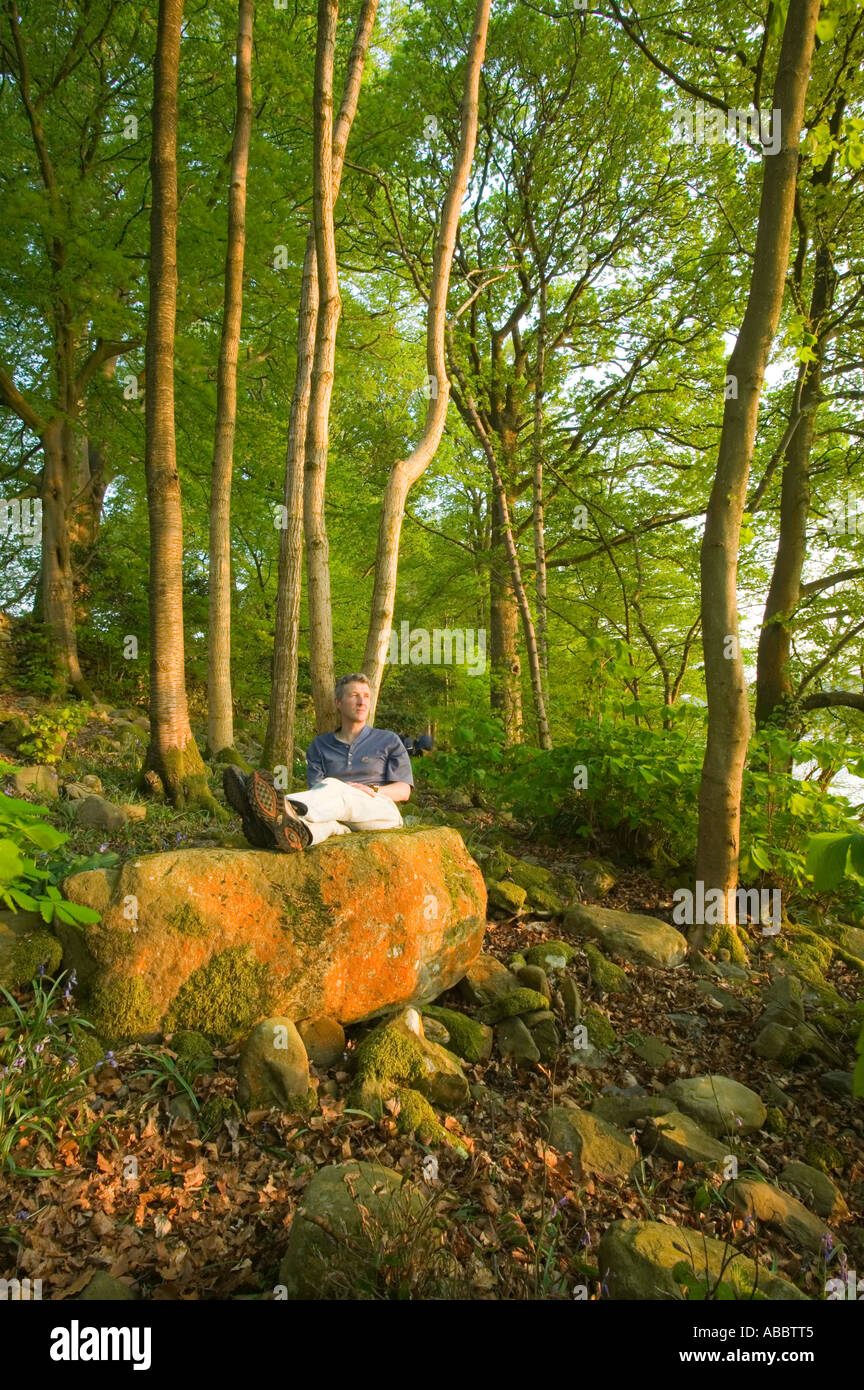 a man relaxing in  spring woodland on the shores of Lake windermere at Rayrigg, Cumbria, UK Stock Photo