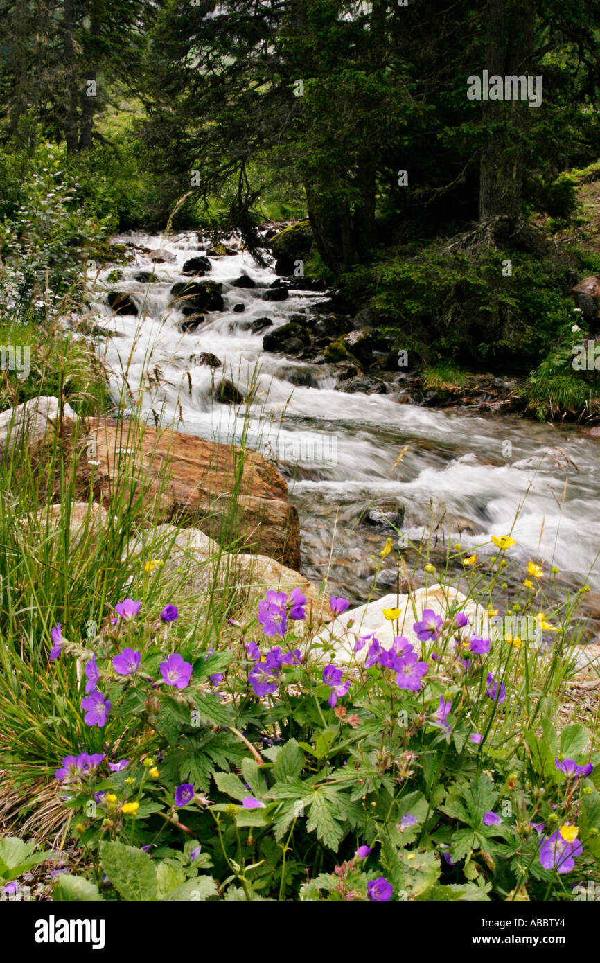 Potable stone natural water hi-res stock photography and images - Alamy