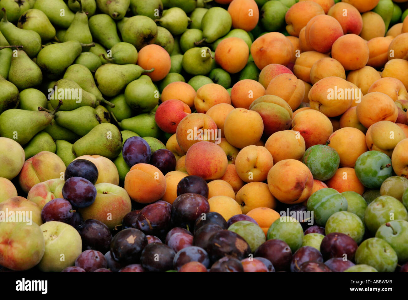 Fruits Stock Photo