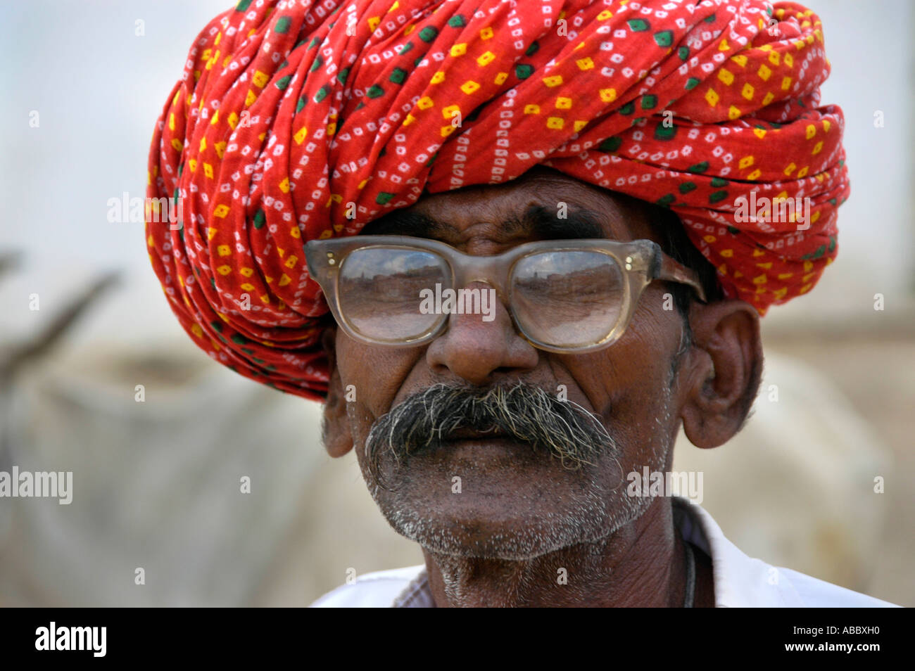 Portrait indian man turban glasses hi-res stock photography and images ...